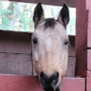 Meet your Posher, Philpott